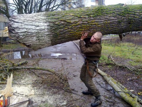 Ребята с нашего двора